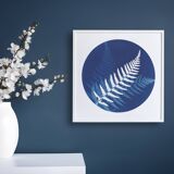 Ferns 2