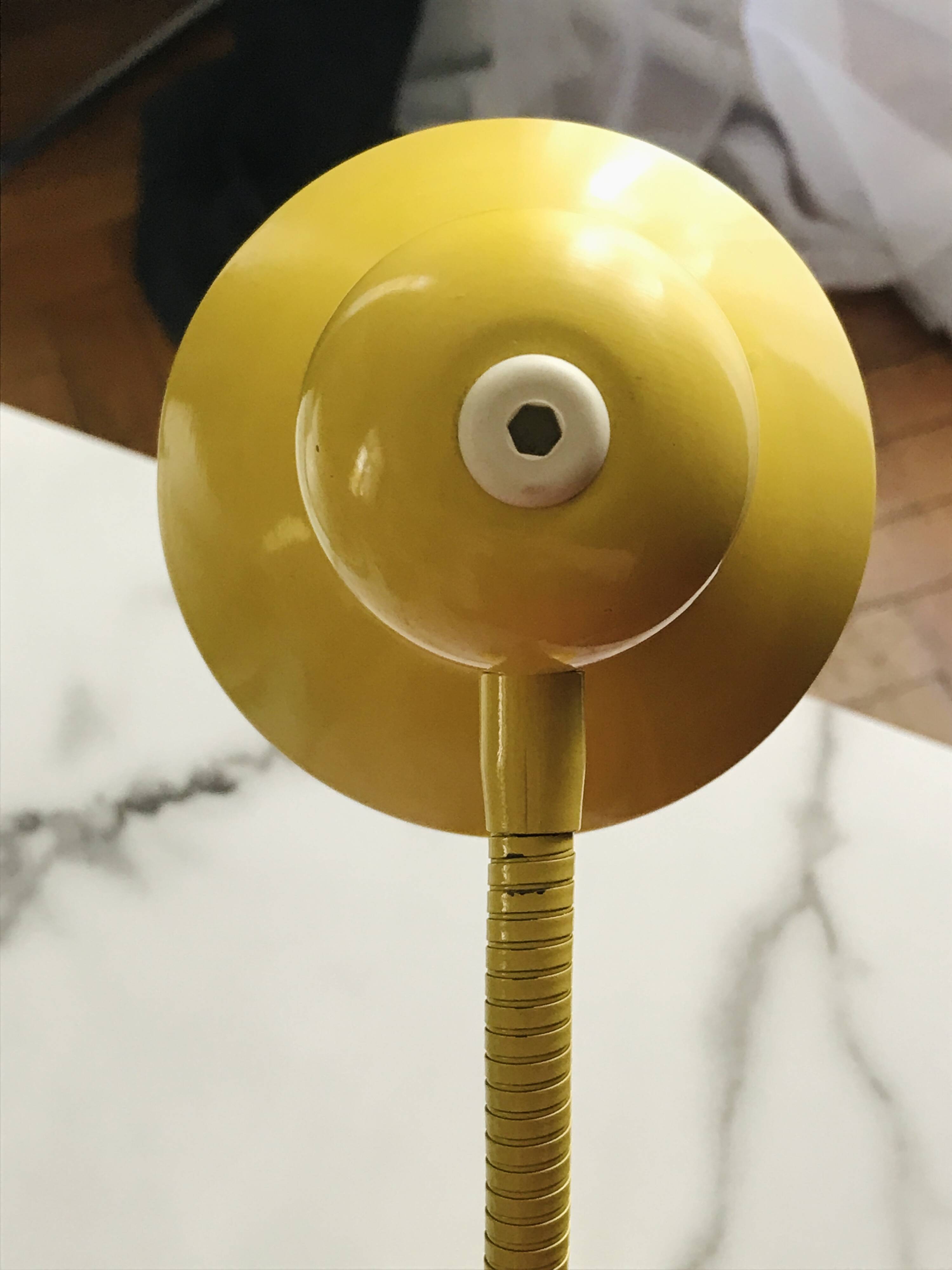 Belgian flexible lamp