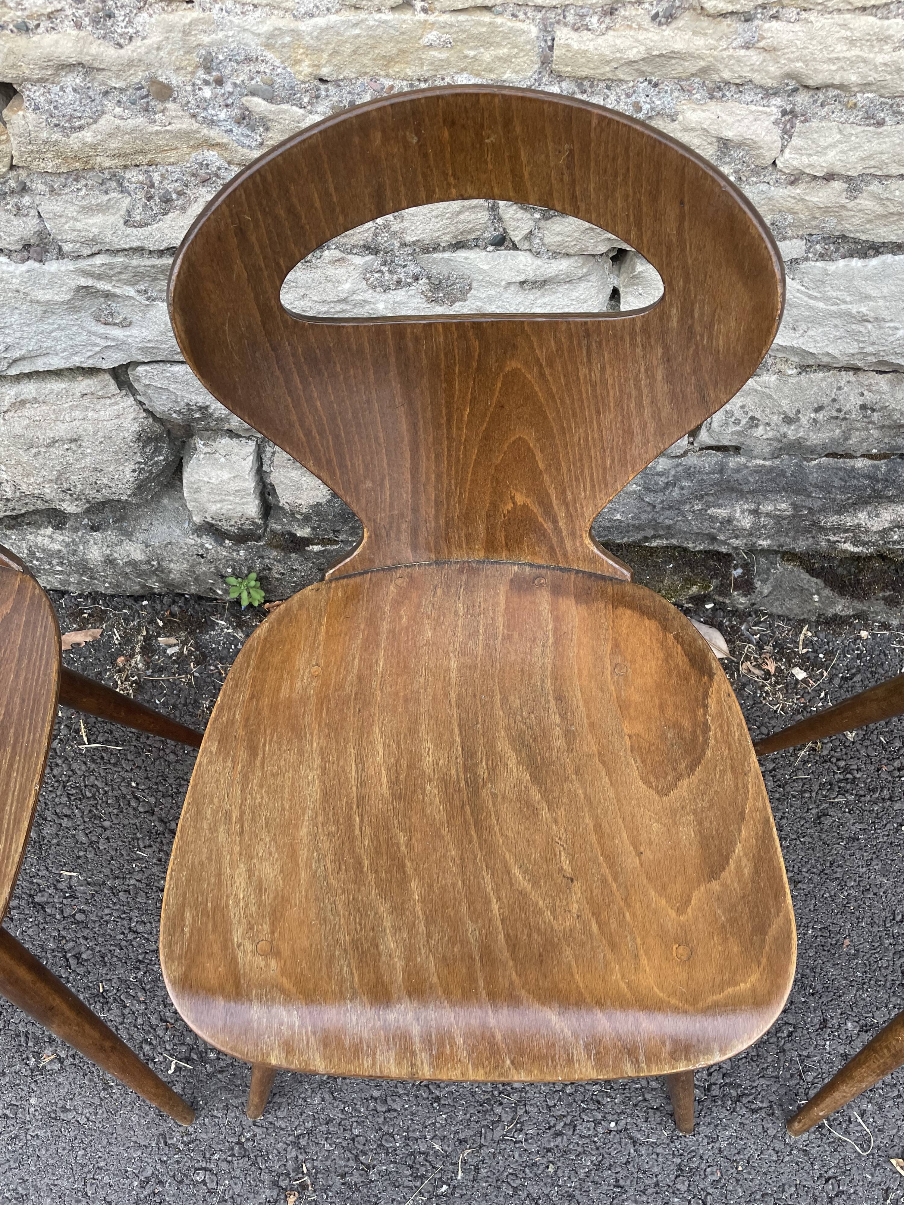 Baumann chairs "ant"