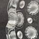 Cendrier Lalique modèle Tokyo