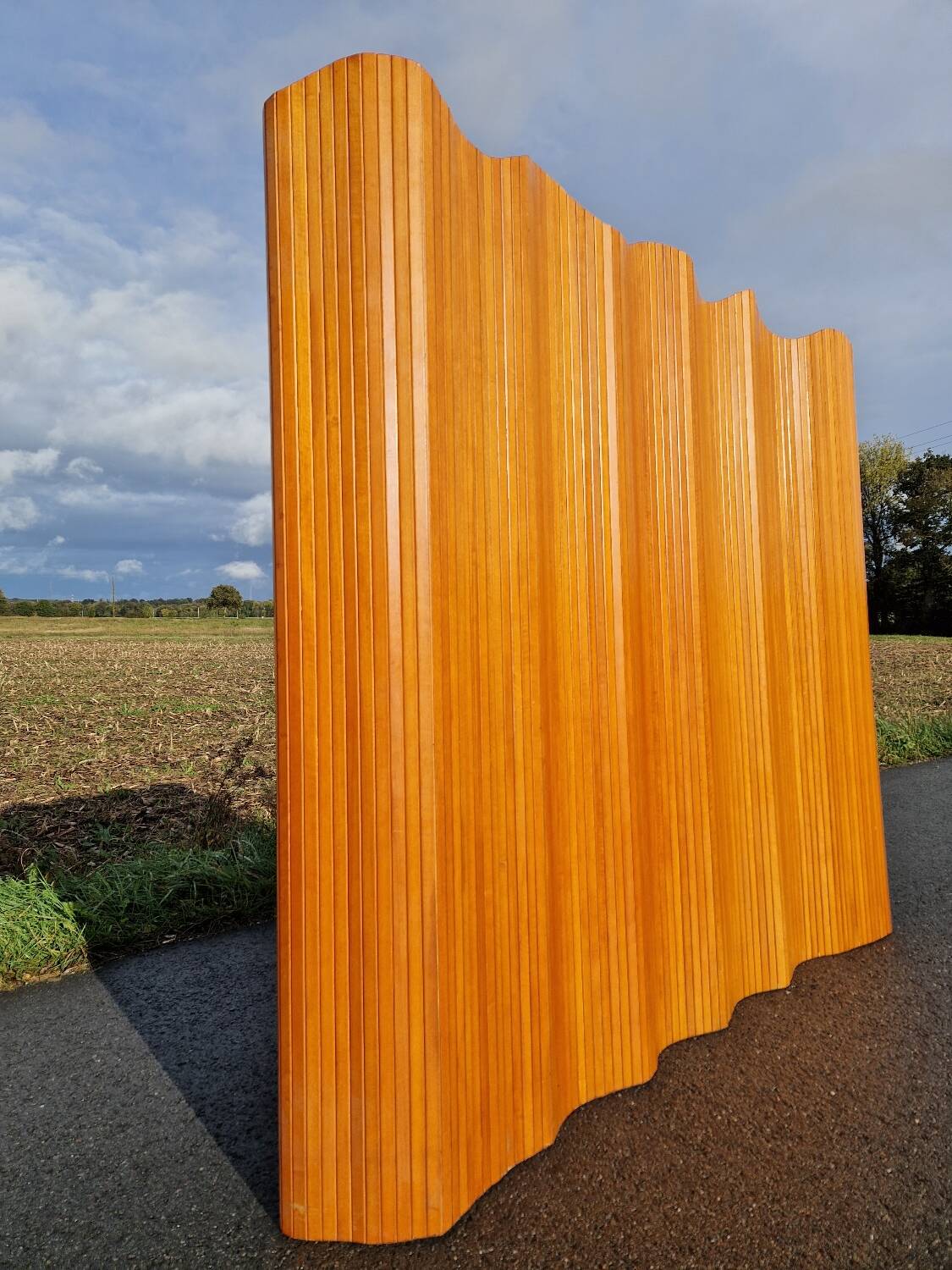 Baumann slat screen