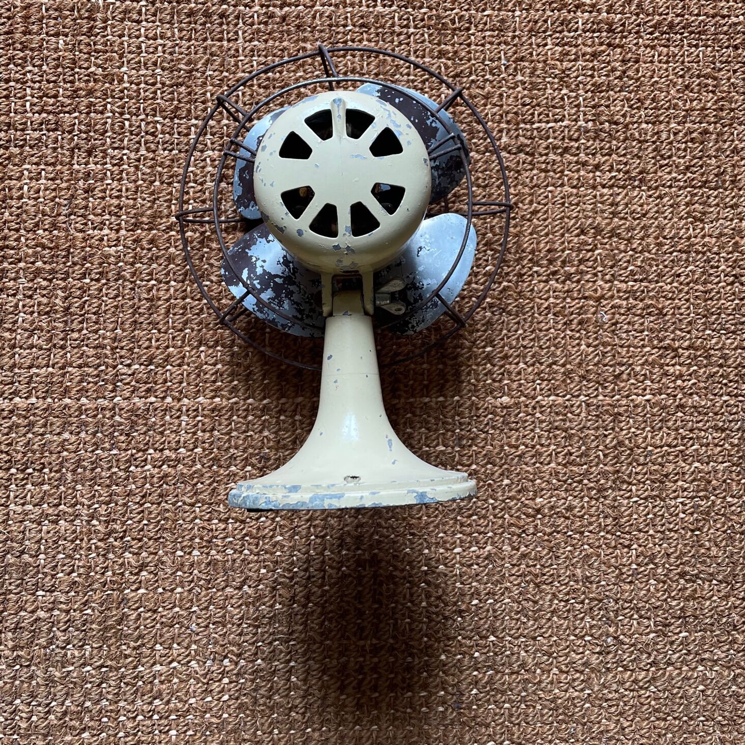 Star fan 50s for decoration