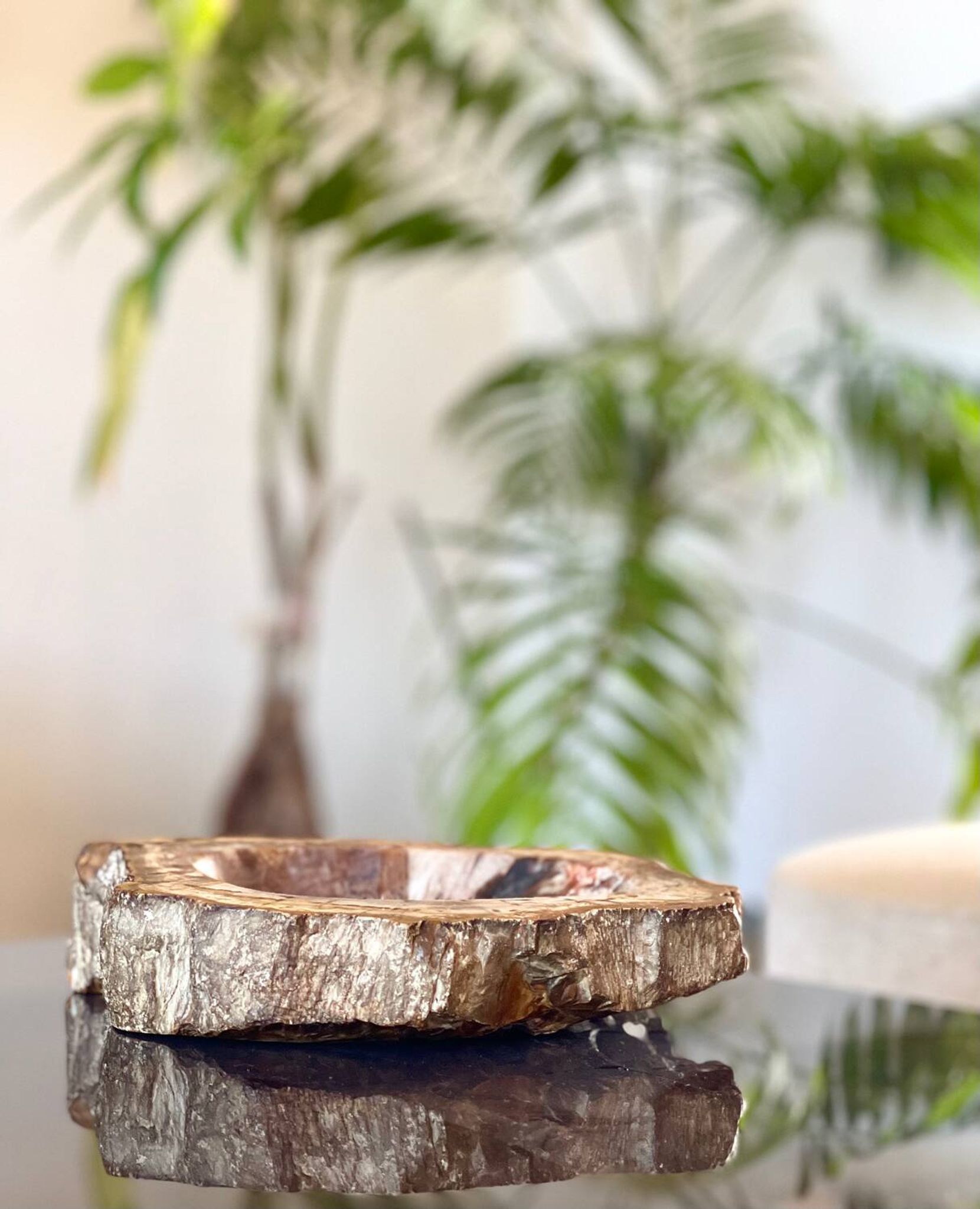 Petrified wood catchall