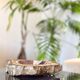 Petrified wood catchall