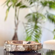 Petrified wood catchall