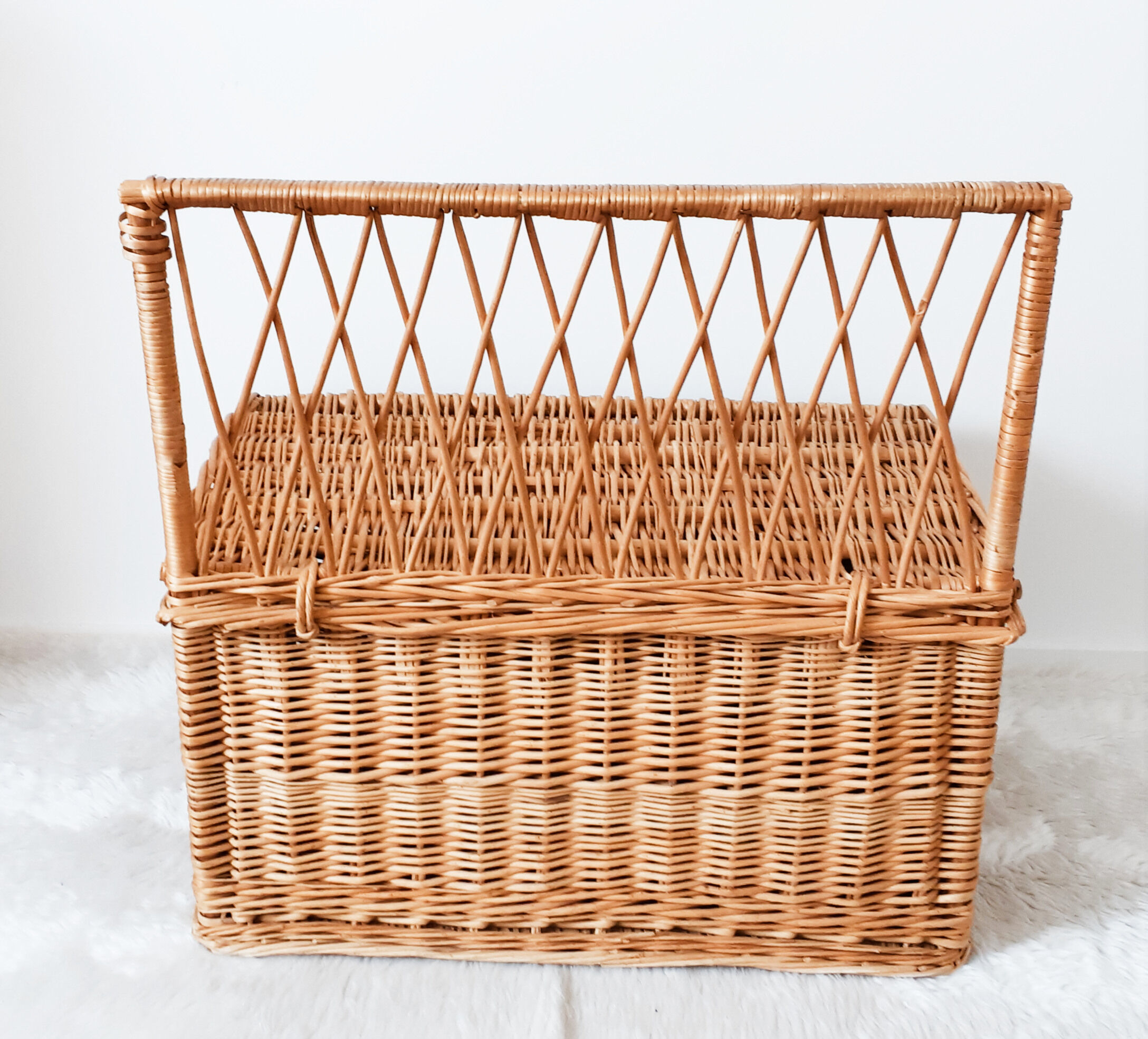 Rattan toy box