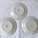Plates odette signed "factory new"