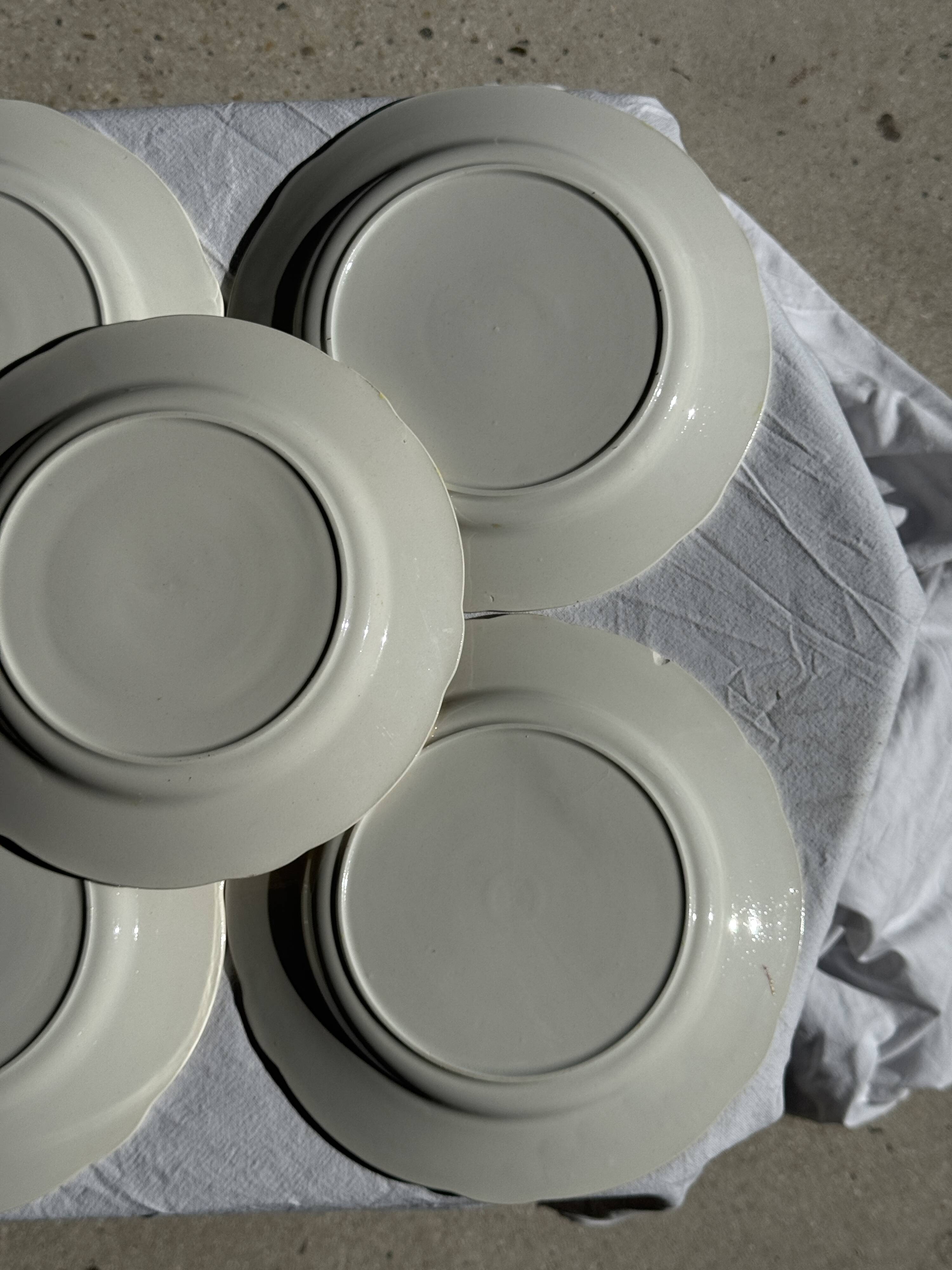 Lot de 19 grandes assiettes plates vintage jaunes fleurs roses liseré doré