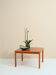 Table de canapé des années 1960