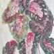 Solenostermon (Coleus Blumei), 1950s. Watercolor on paper