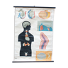 Carte scolaire anatomie medical homme 89 x 120 cm