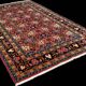 Tapis Véramine 260x160 cm
