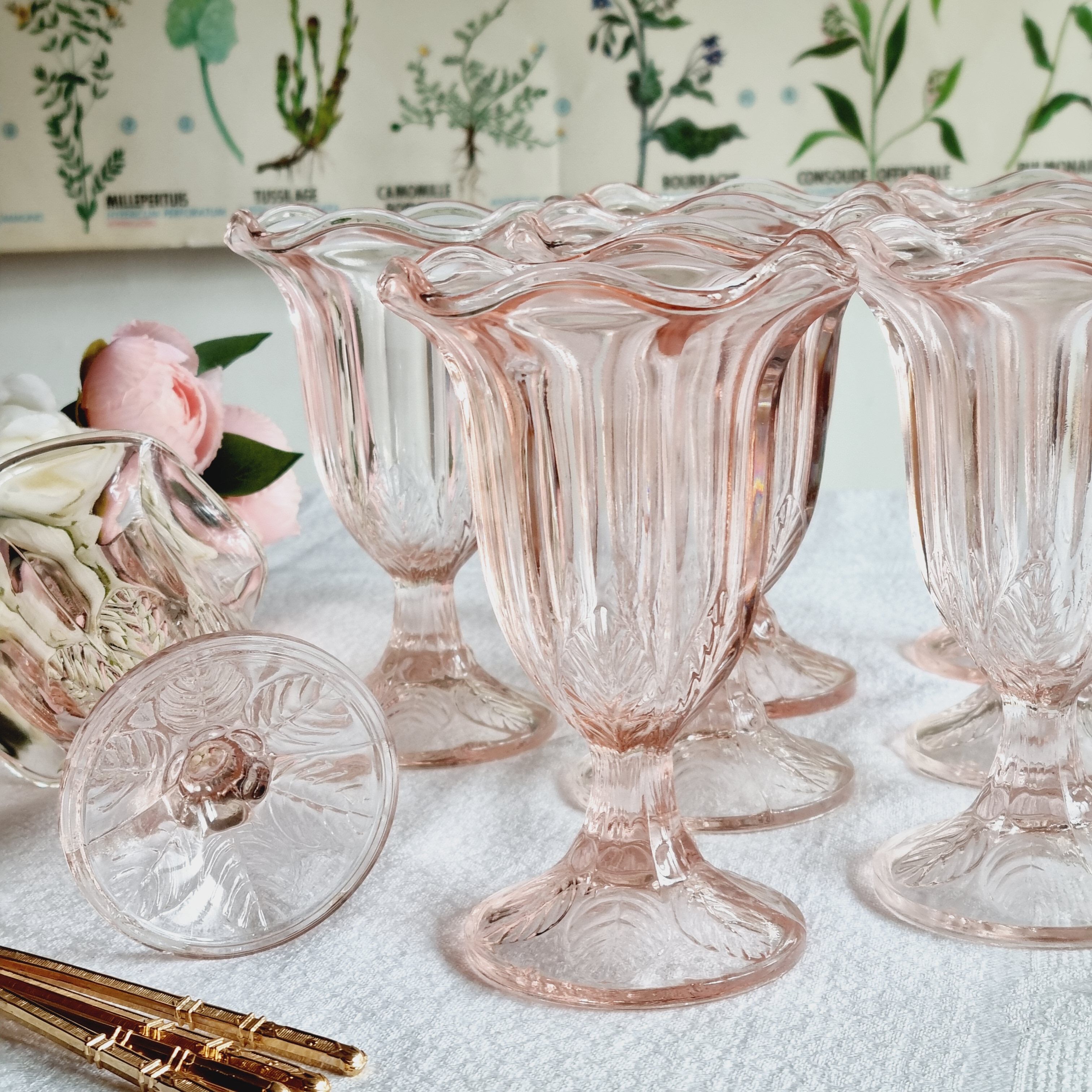 Set of 9 ice cream or fruit cups in pink Fidenza Italy molded glass