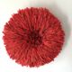 Jujuhat rouge 70 cm