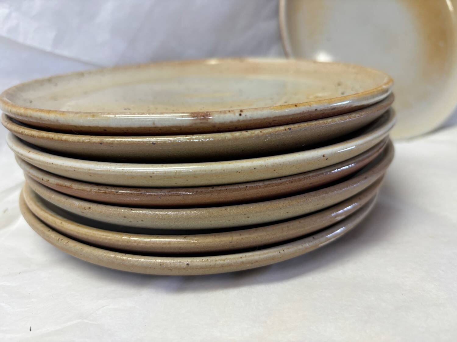 Set of 8 marsh stoneware plates