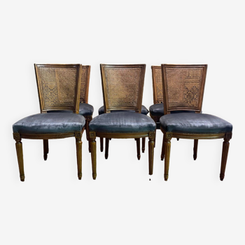 Suite of 6 Louis XVI style cane and velvet chairs