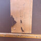 Leather Wood Trunk