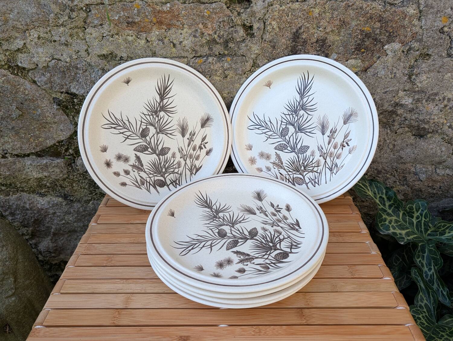 Assiettes Pinewood Grindley Angleterre années 70
