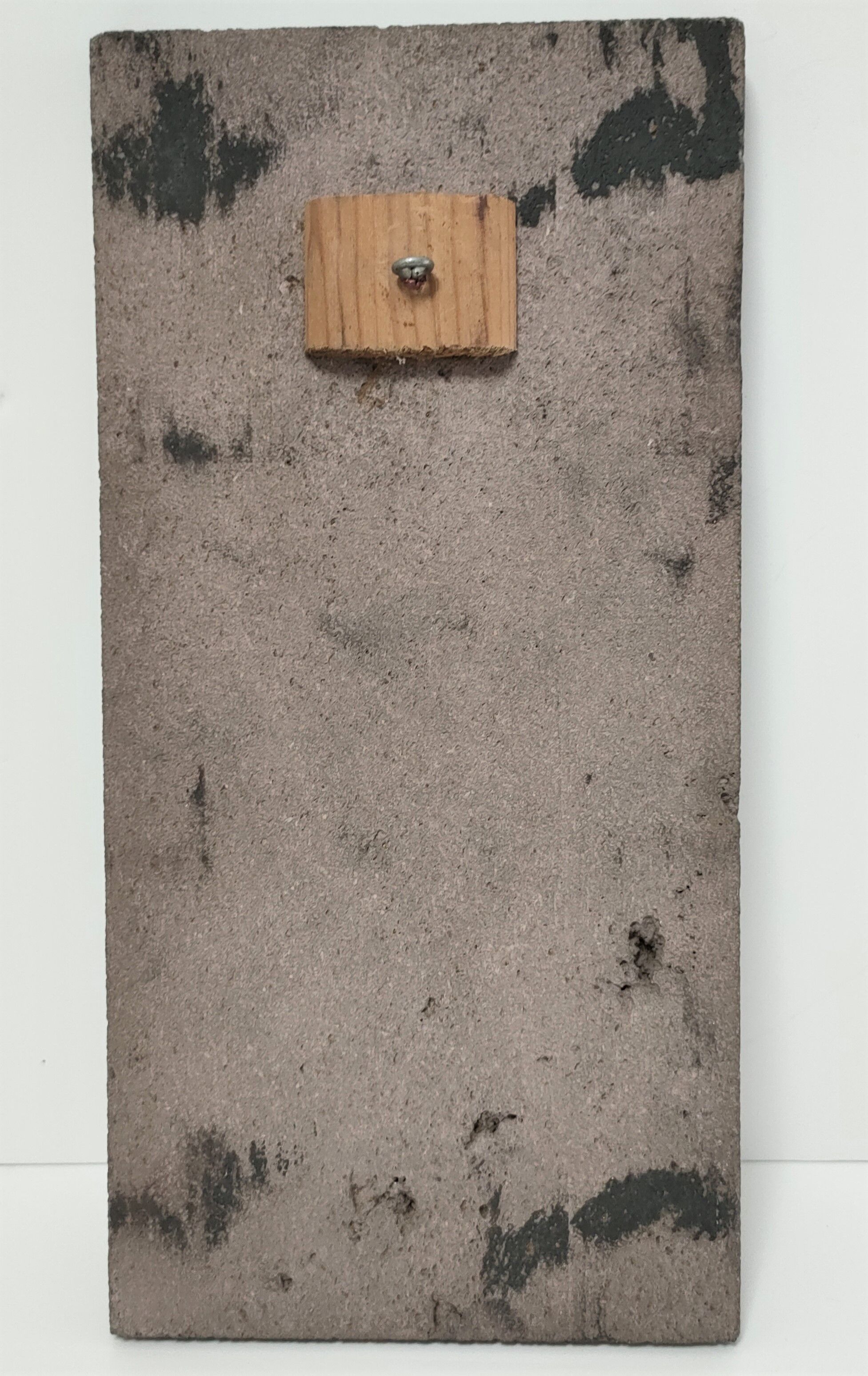 Plaque de lave émaillée à décor de fougère