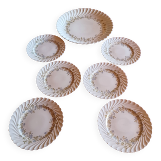 Dish service