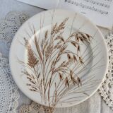 Assiette plate ancienne Ironstone England motif blé