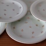 11 mint salt dessert plates