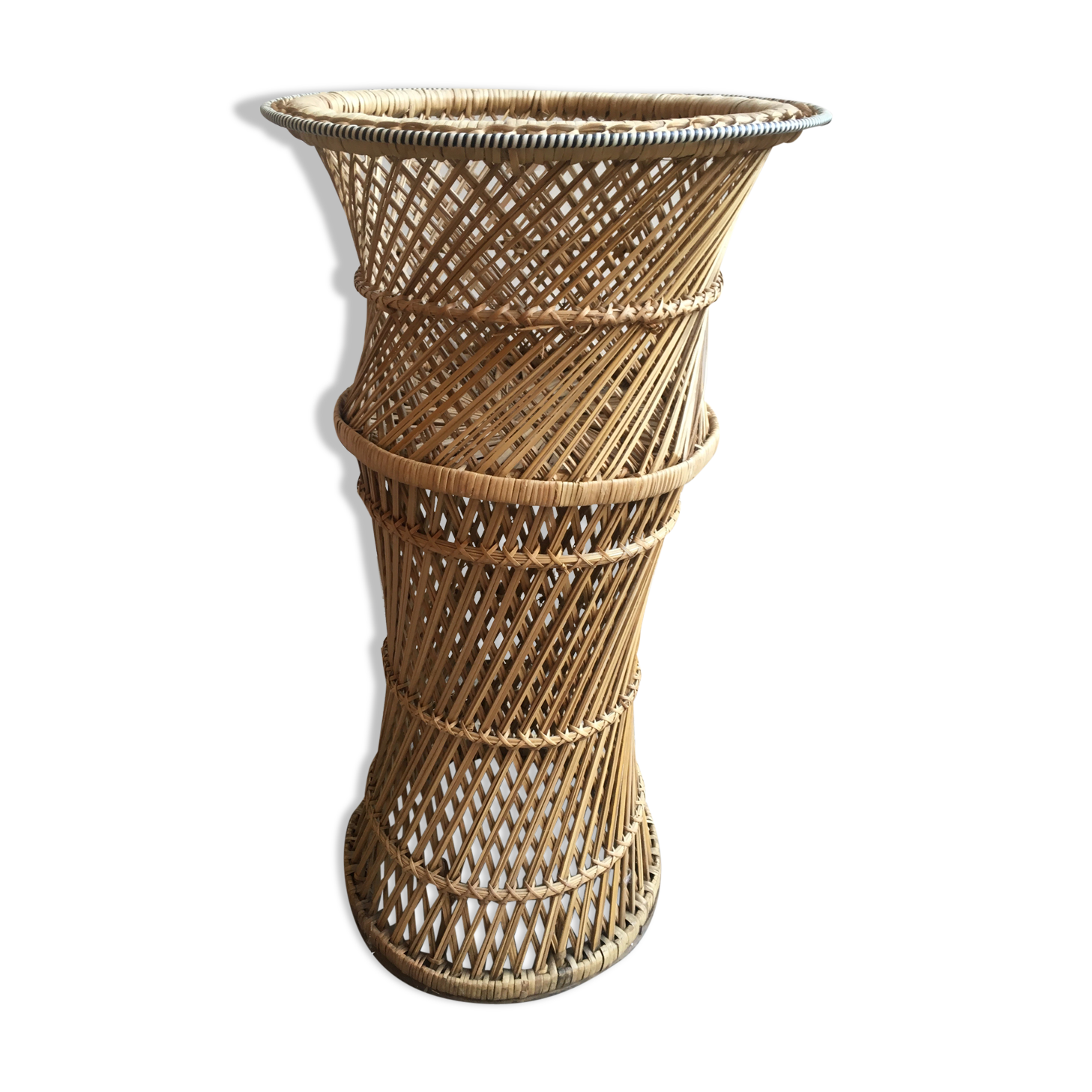 Door plant rattan peacock