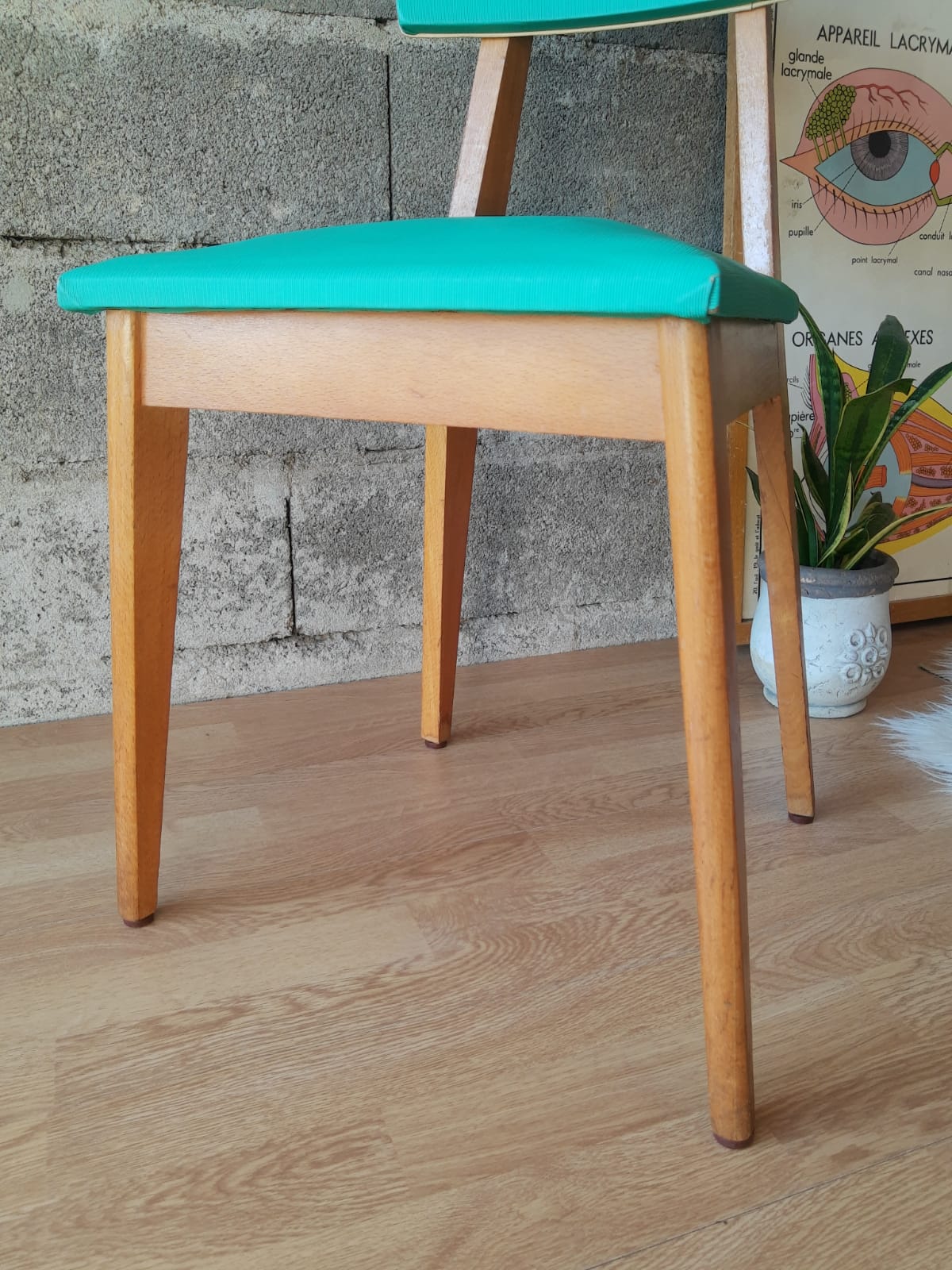 Beech chair compass feet 50s- 60s vinyl - vintage