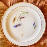 Porcelain plate set
