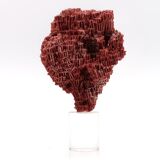 Red coral on resin base, 1970s
