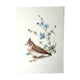 Bird board 60s
