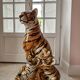 Ceramic sculpture tiger Modern Art Capodimonte