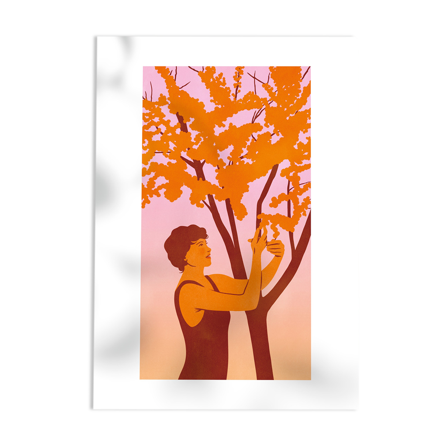 Sea buckthorn picking