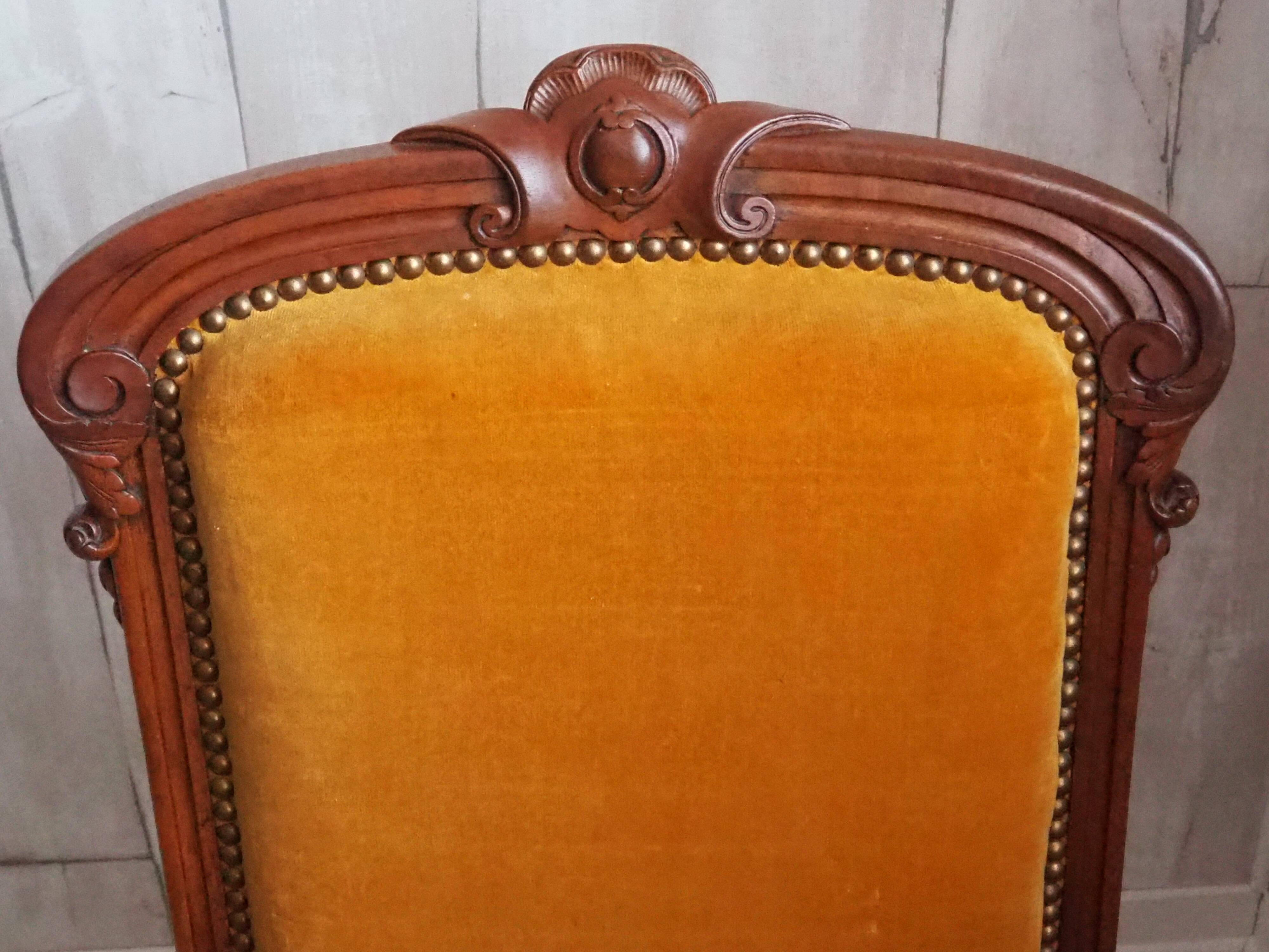 Antique Regency Style padded chair - Wooden structure and horsehair padding - Mustard color