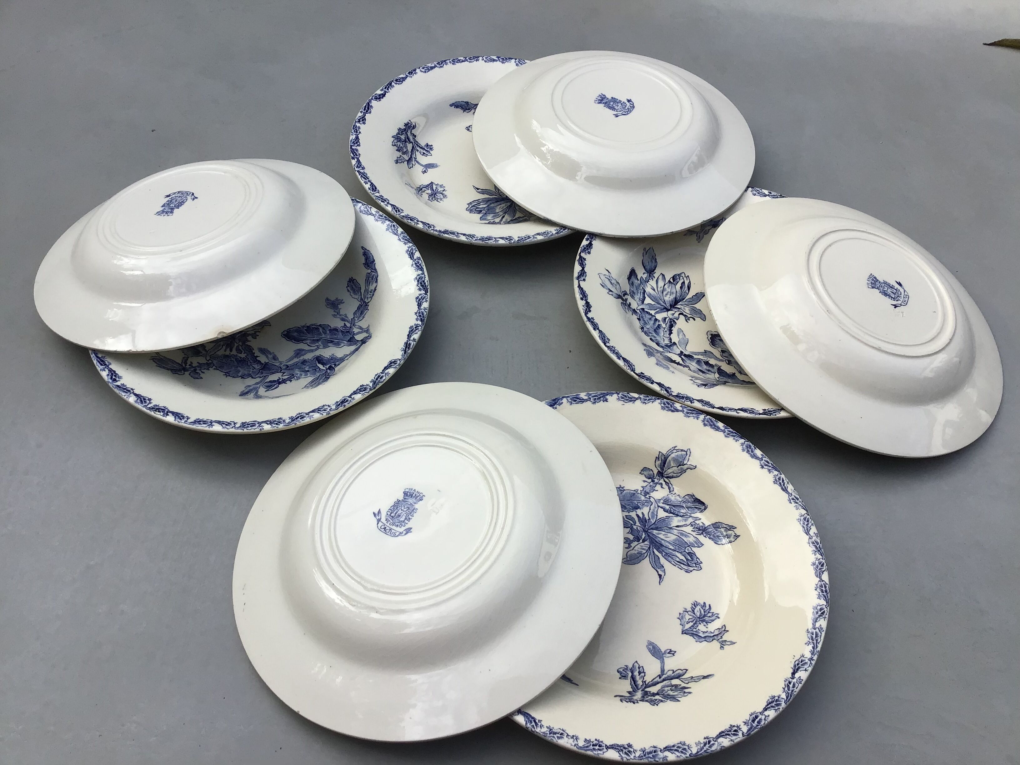 Set of 8 hollow plates Opaque porcelain from Gien decoration Cactus