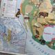 Vintage school map mdi North America-Asia Wildlife