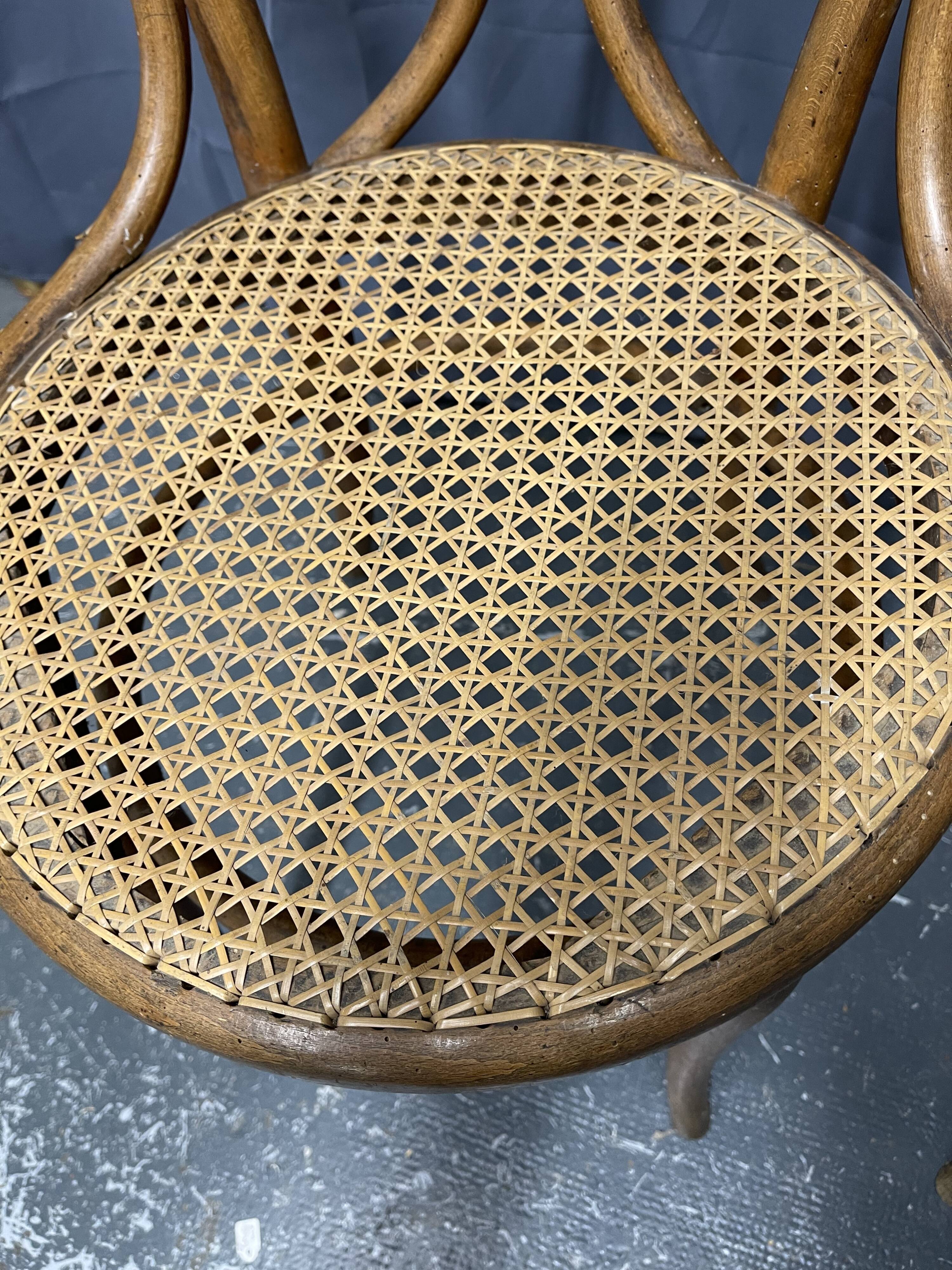 Paire de chaises Thonet n 19 estampillées thonet