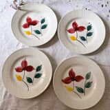 4 flat plates Digoin model Larmor
