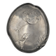 Pewter poppy plate. Art Nouveau