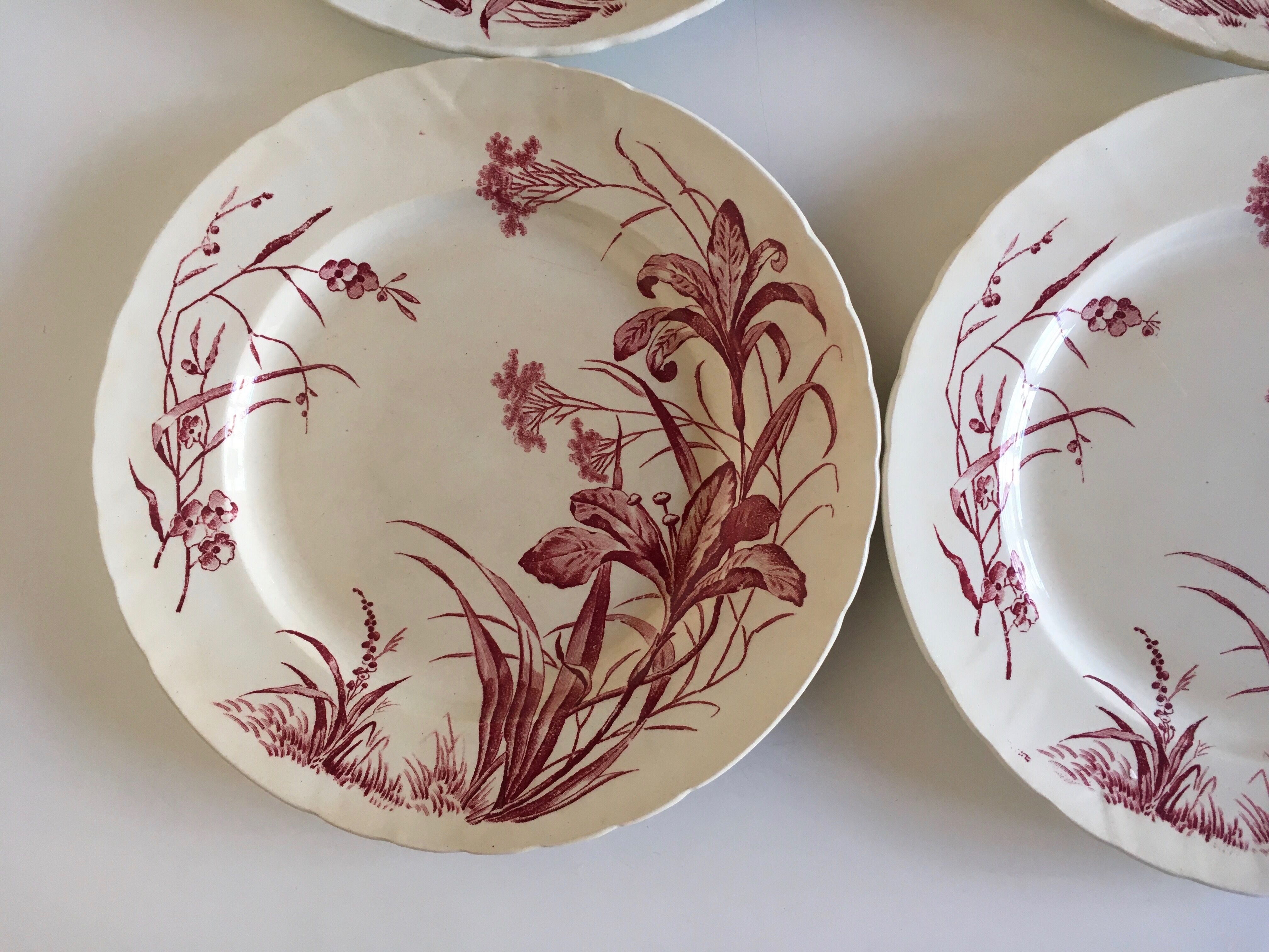 Flat plates J Vieillard Bordeaux, 1850