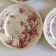 Flat plates J Vieillard Bordeaux, 1850
