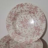 Set of 11 LUNEVILLE Englishstyle soup plates
