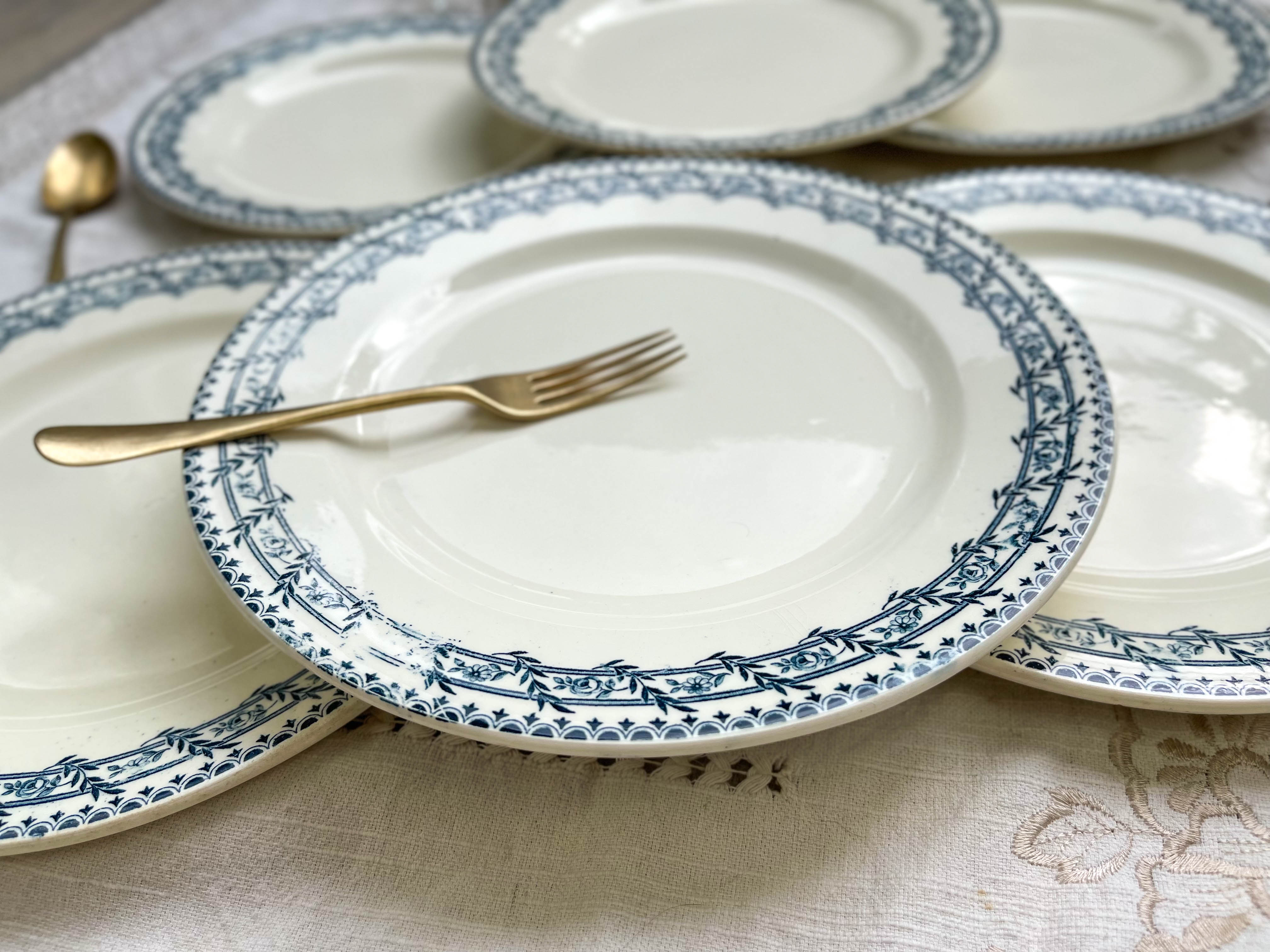 6 flat plates iron earth salins
