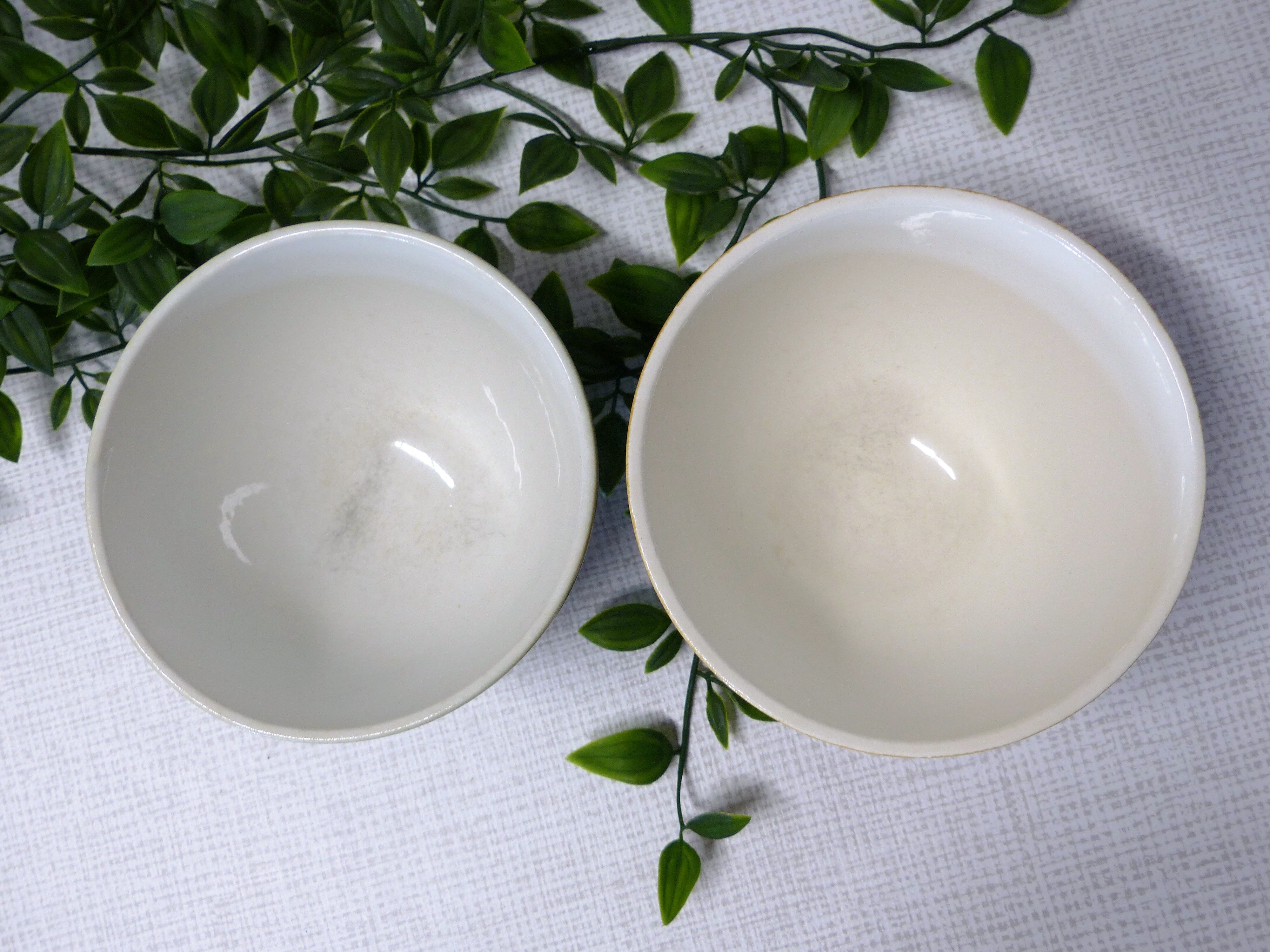 Duo of earthenware bowls