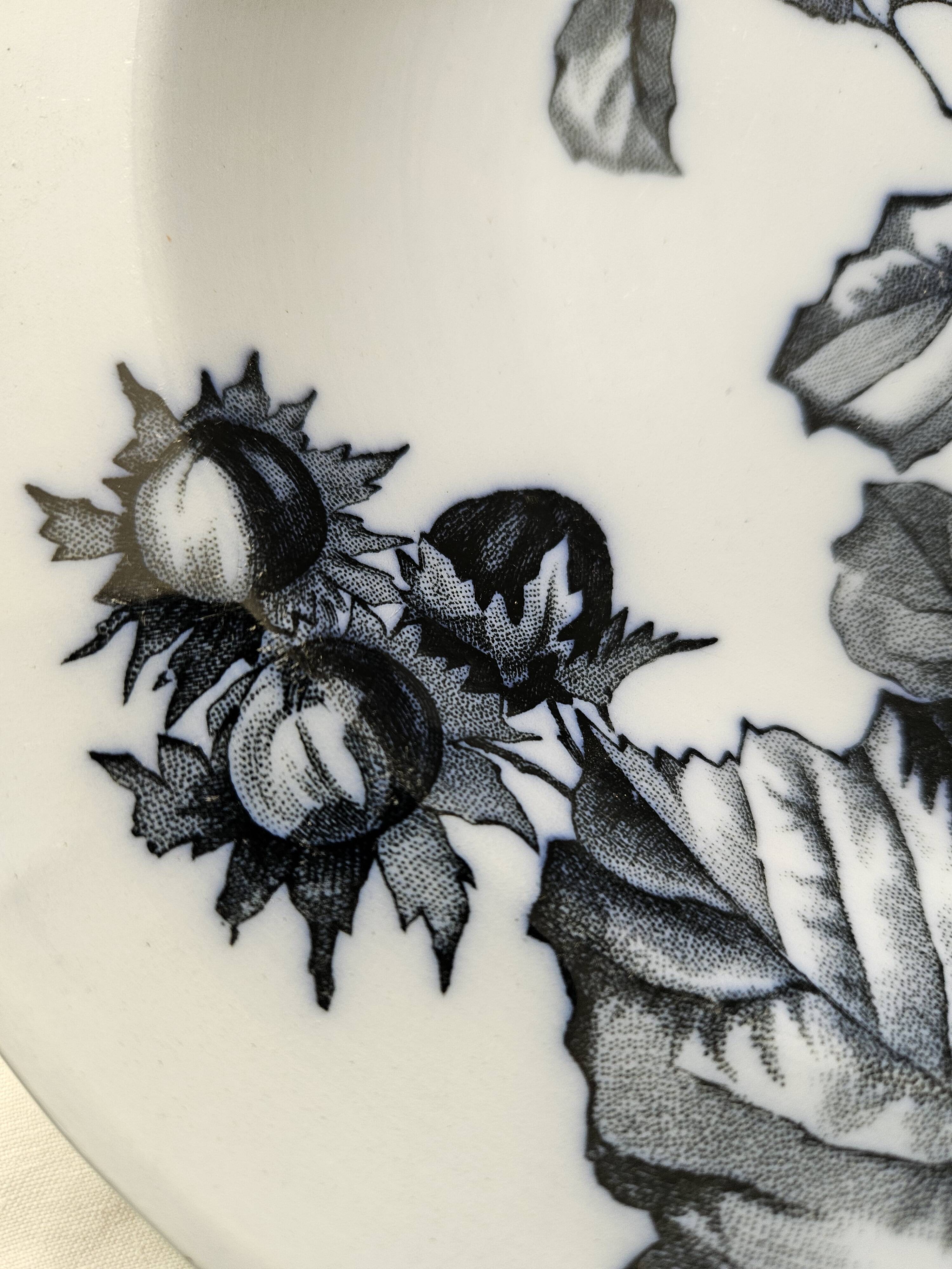 6 Longwy plates model Flowers