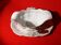 Saucière en porcelaine
