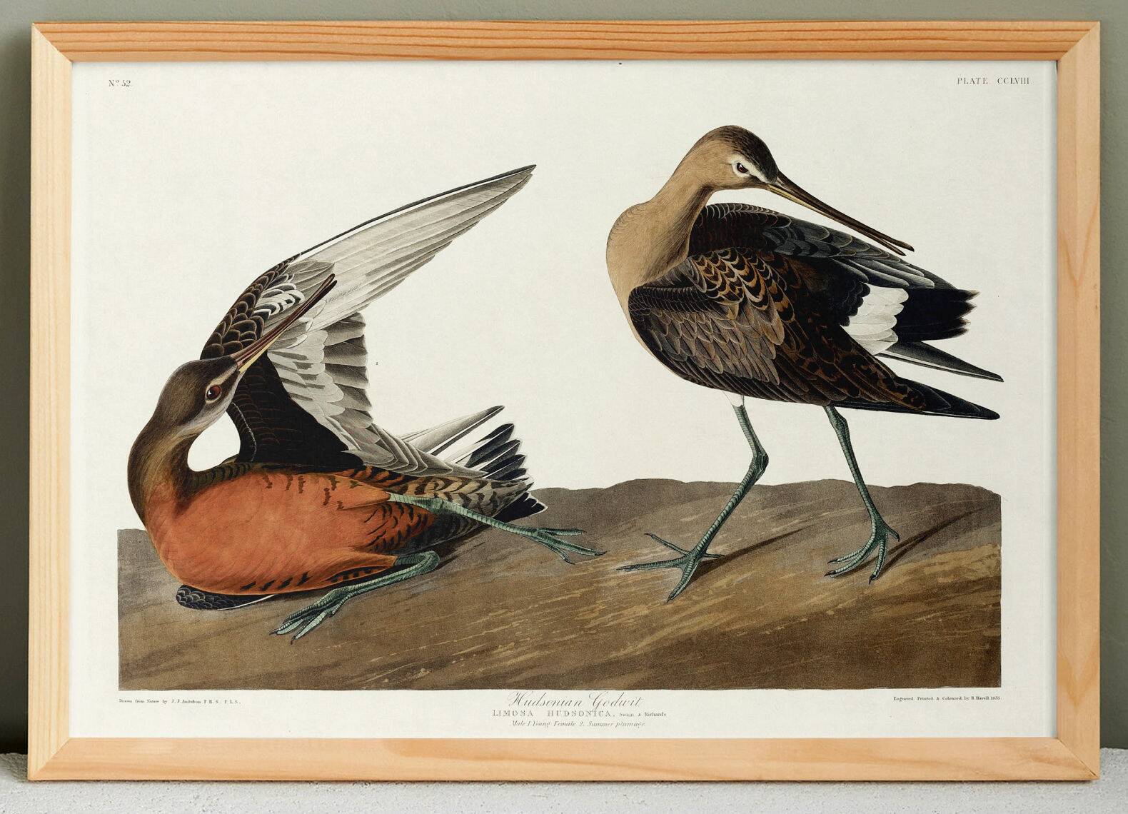 Poster about the Hudson's River Barge, based on an old engraving from 1827.