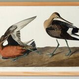 Poster about the Hudson's River Barge, based on an old engraving from 1827.