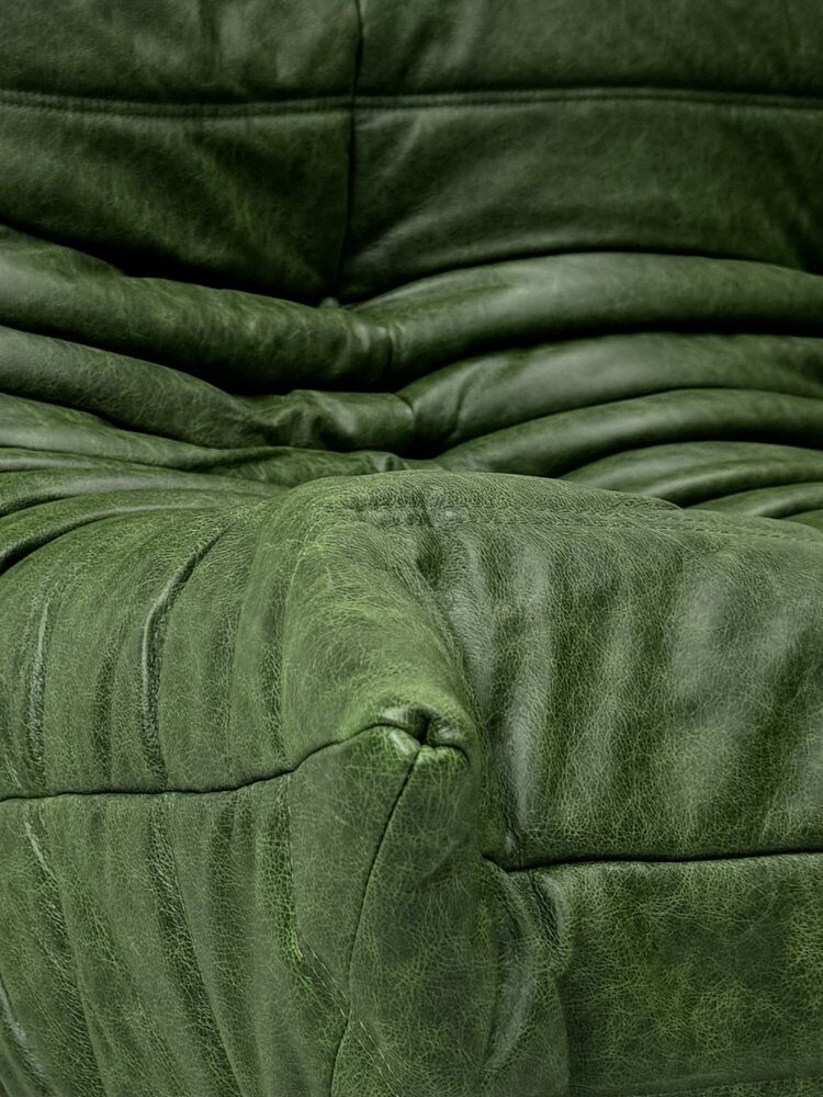 Togo 3-Sofa in Green leather attributed to Michel Ducaroy for Ligne Roset