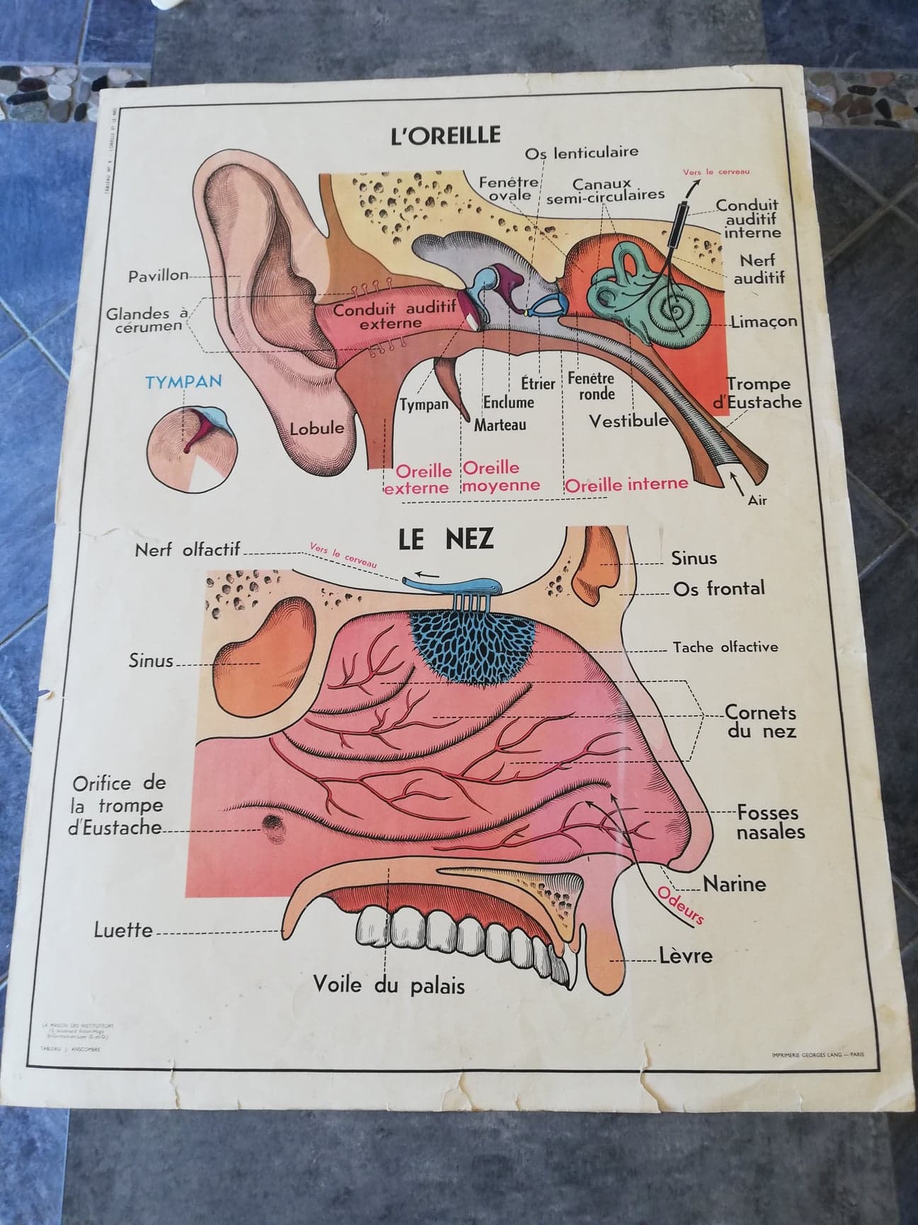 Vintage school poster MDI